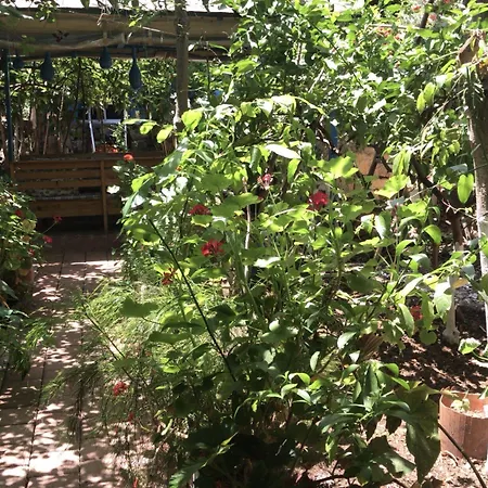 Likya 3* Kaleucagız