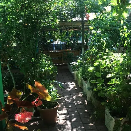 Guest house Likya 2*
