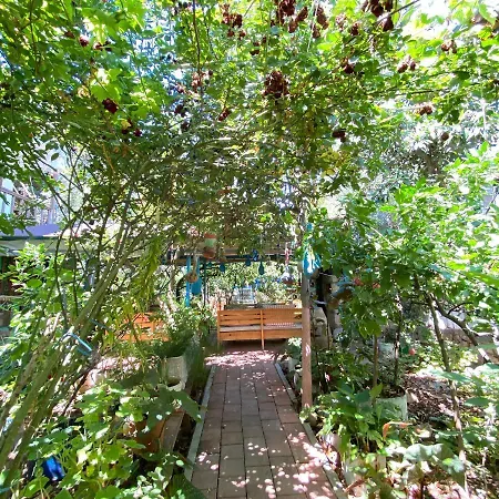 Guest house Likya
