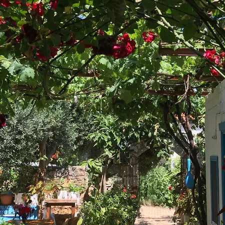 Likya Guest house