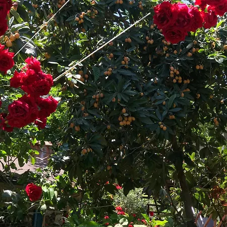 Likya Kaleüçağız