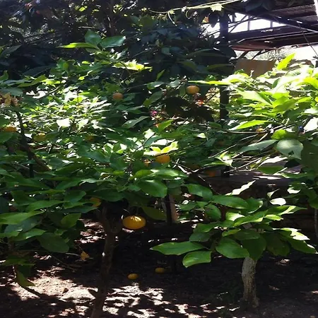 Likya Guest house Kaleucagiz