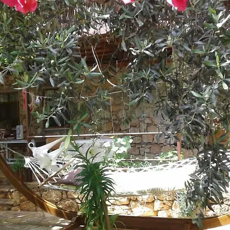 Likya بيت ضيافة كالينجاغيس