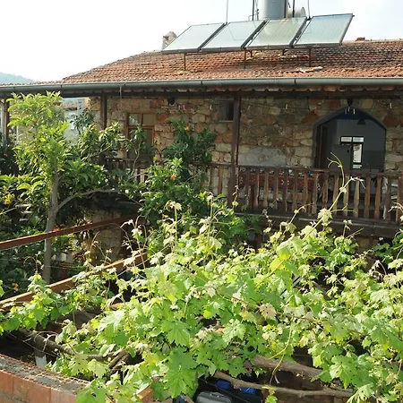 Guest house Likya 2*