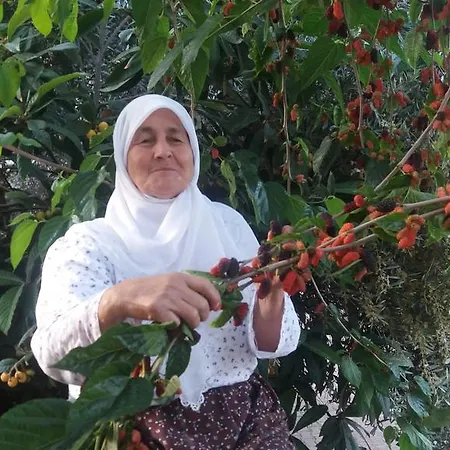Likya Pensjonat 2*