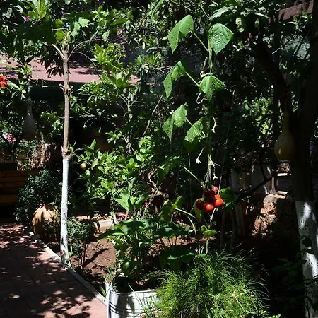 게스트하우스 Likya Kaleucagız