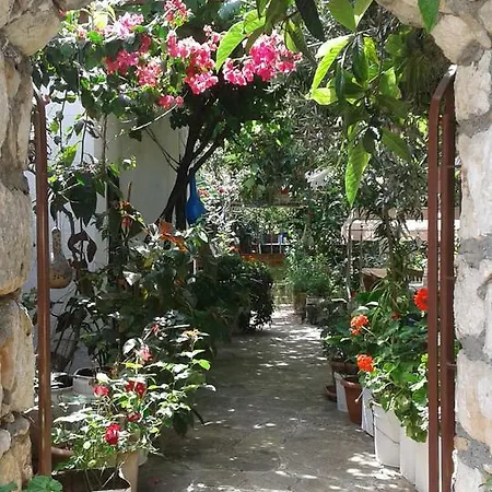 Guest house Likya 2*