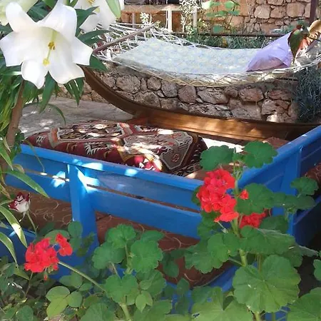 Likya Guest house