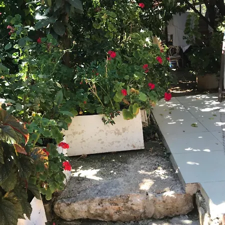 Guest house Likya