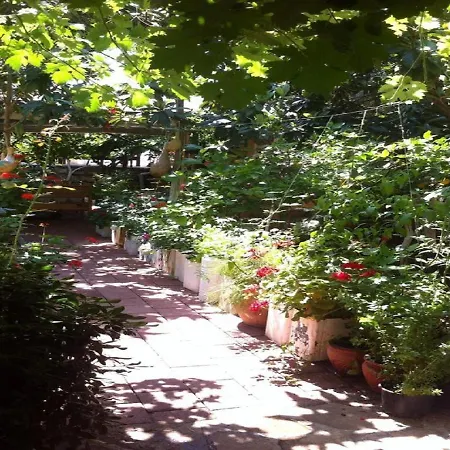 Guest house Likya 2*