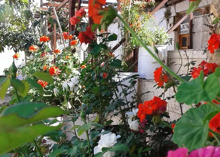 Likya Maison d'hôtes Kaleucagız