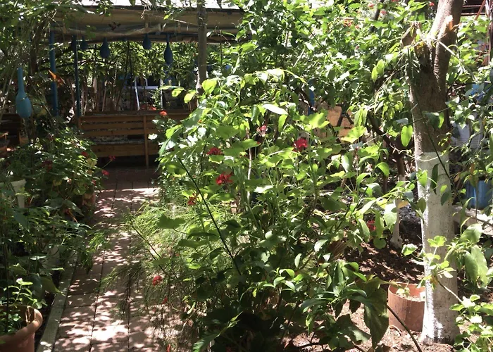 Likya 3* Kaleucagız